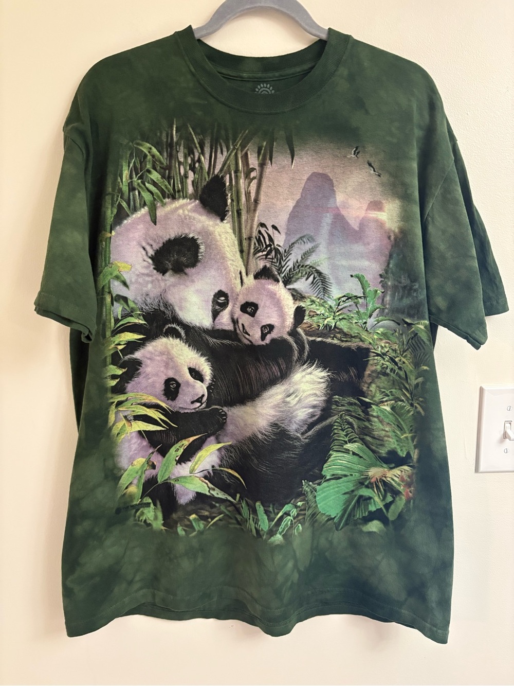 The Mountain Panda Cuddles Tie Dye Tee Large Blue Green Bamboo Graphic Shirt